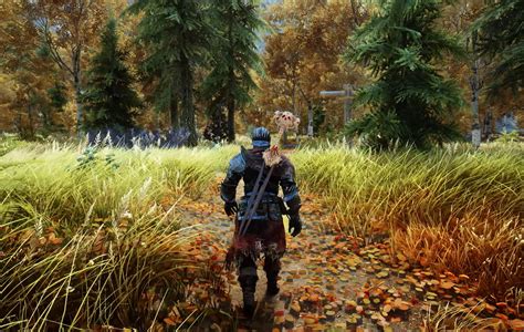 realistic mod skyrim|mods make skyrim more realistic.